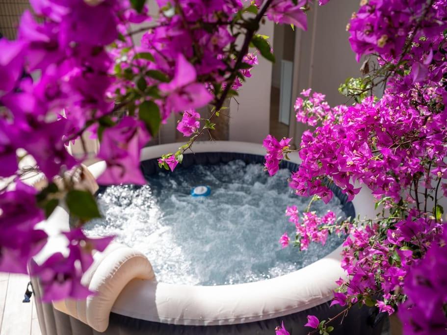 Le Bougainvillier-jacuzzi Jardin Clim Wifi Parking Apartment *